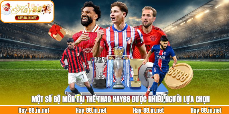 Một số bộ môn tại thể thao Hay88 được nhiều người lựa chọn