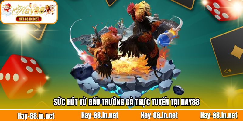 Sức hút từ đấu trường gà trực tuyến tại Hay88